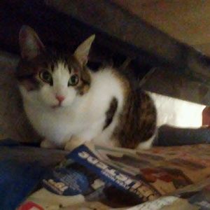 Meet your Posher, Jimmy